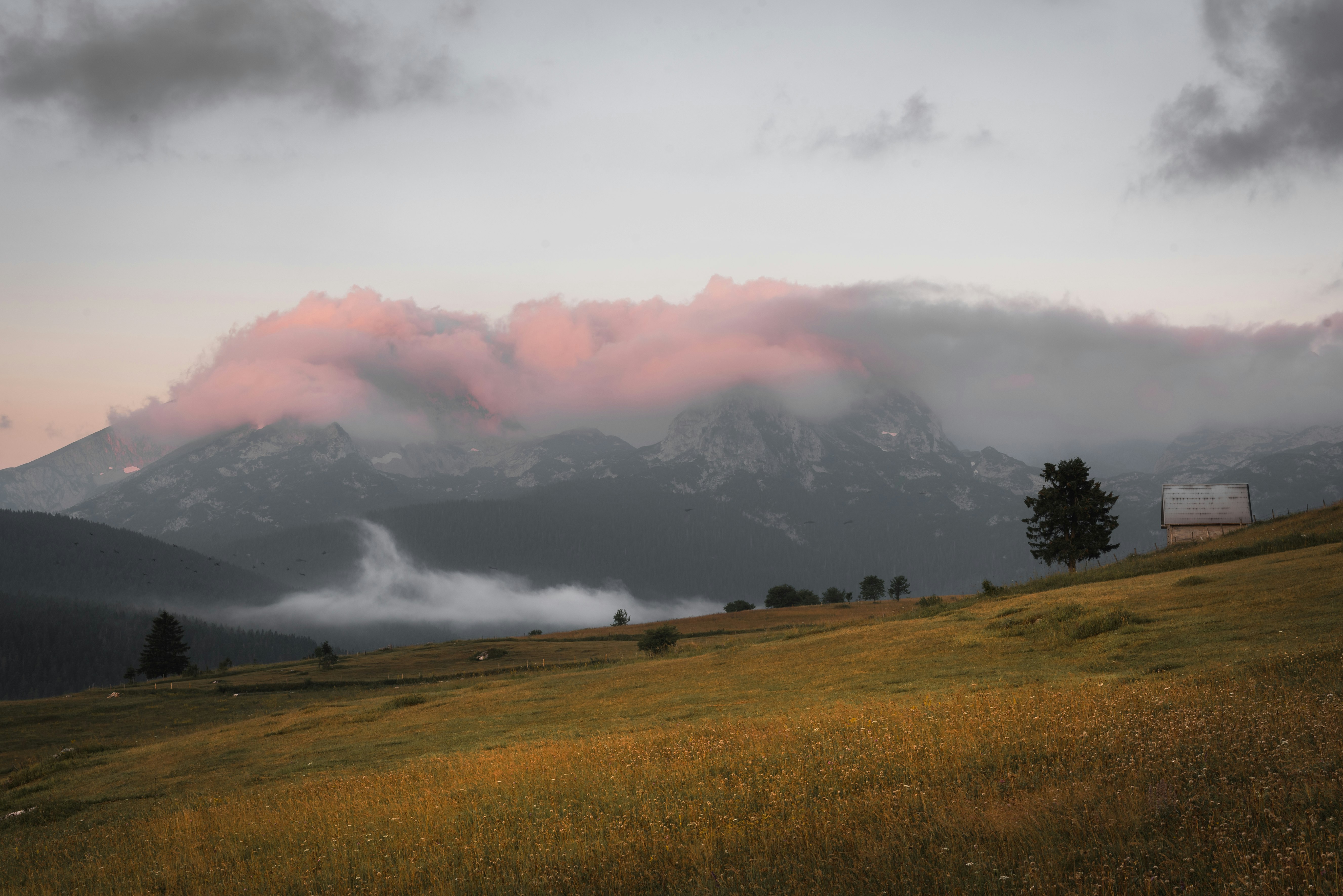 green grass field under white clouds during daytime